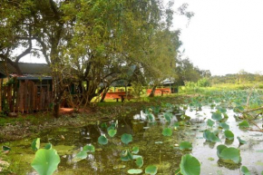 Meegahapokuna Resort